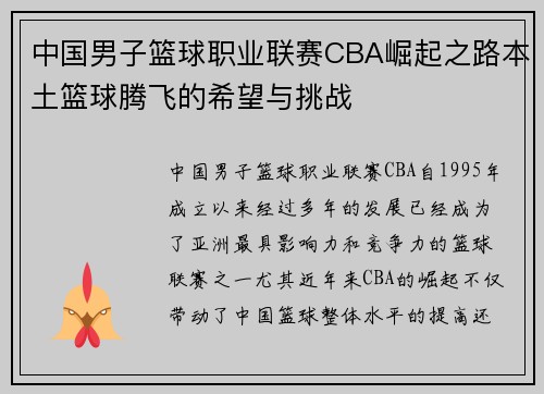 中国男子篮球职业联赛CBA崛起之路本土篮球腾飞的希望与挑战