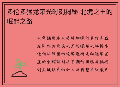 多伦多猛龙荣光时刻揭秘 北境之王的崛起之路